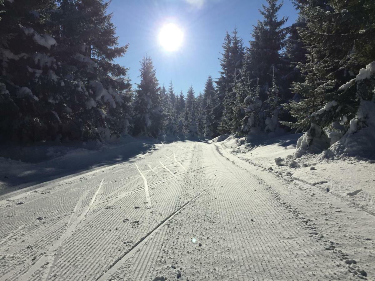 Beerenvilla Altenberg  Kültér fotó